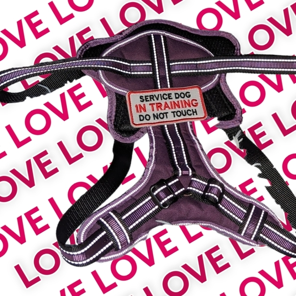 🐾 Dog Service Harnes by Bolux, XL - Picture 8 of 9